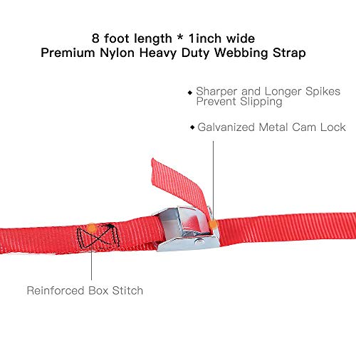 Cam Buckle Straps 6PK 8FT Powersports Tie-Downs+ 8PK Soft Loop Tie-Down Straps 1-1/16 x 18 inches - product image 3