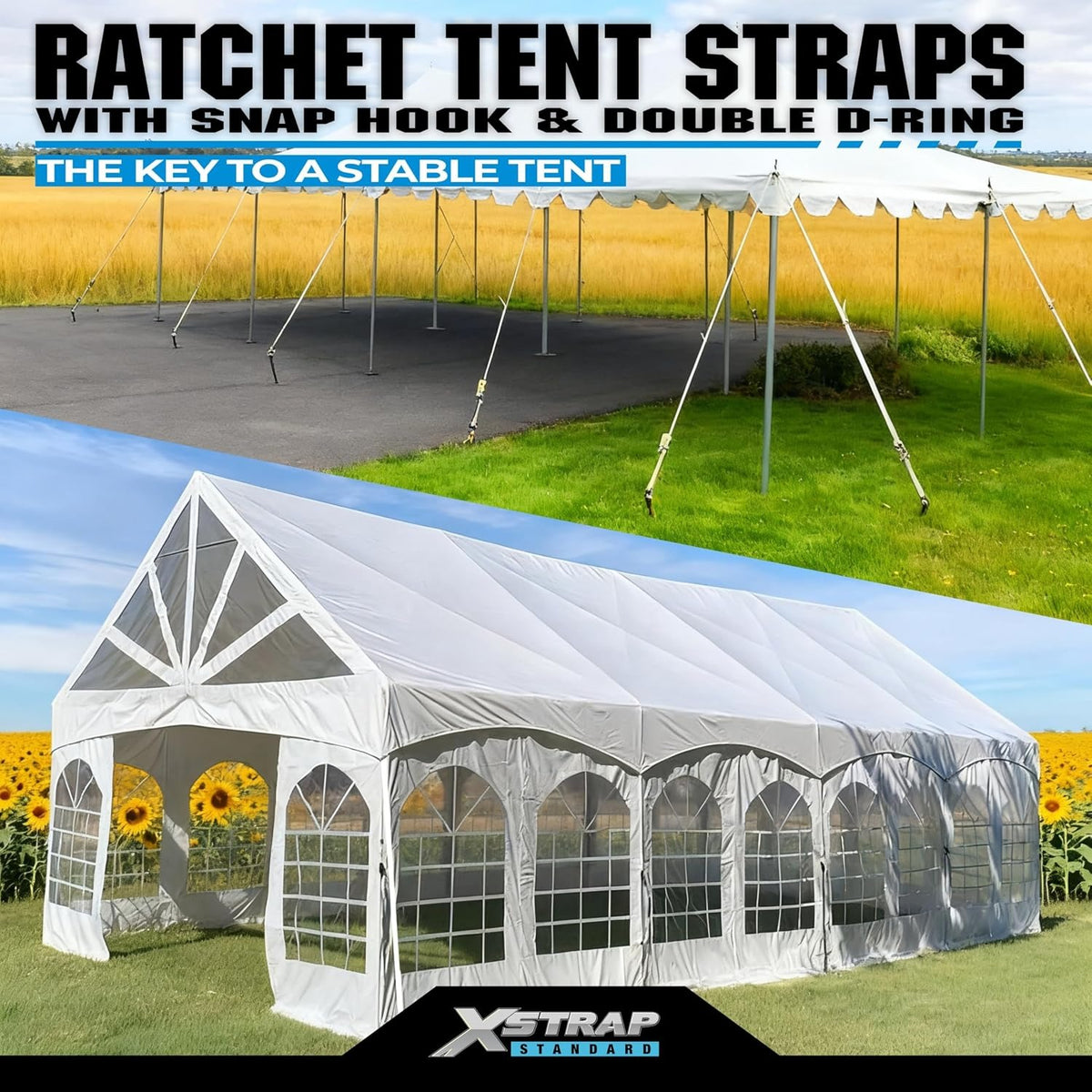 XS16098 4PK 12FT Ratchet Tie Down Tent Straps w/Snap Hook & D-Ring Heavy Duty 2500lbs Breaking Strength 1inch Tie Downs Secure Tents & Canopies for Camping/Events, Durable Polyester Webbing